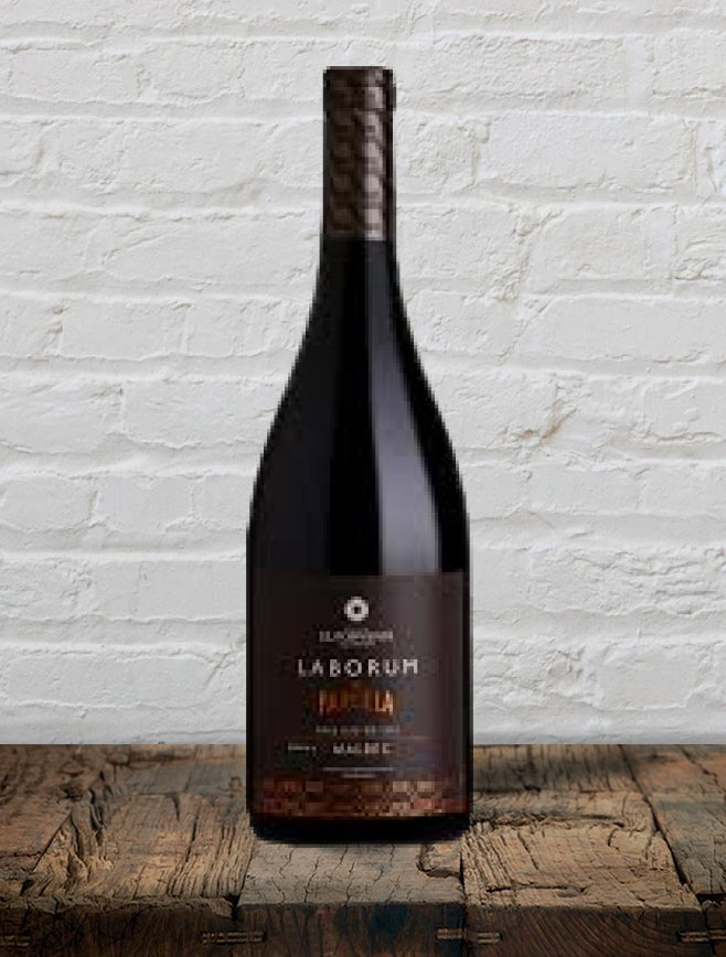 2020 Bodega El Porvenir "Laborum de Parcela" Tannat Cafayate Argentina